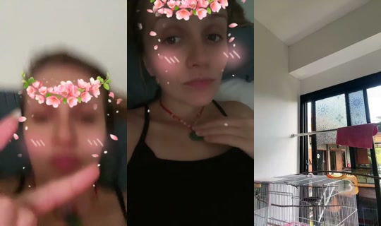 1841857741315364865's Live Session — Jul 31, 2026, 8:59 AM