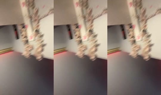1969461273083744257's Live Session — Sep 6, 2026, 4:40 PM