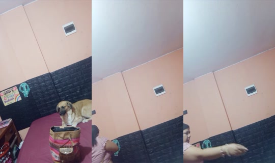 1988025829623026689's Live Session — Jul 26, 2026, 6:42 PM