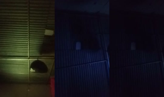 2012638493224338433's Live Session — Oct 20, 2026, 4:17 AM