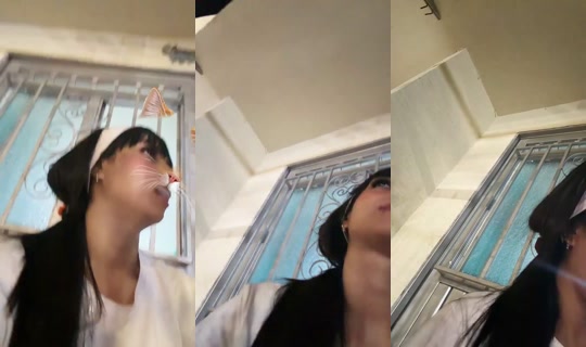 2046298913349662721's Live Session — Oct 16, 2026, 11:51 PM