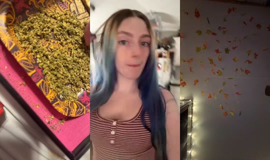 2049320758447203329's Live Session — Sep 13, 2026, 7:38 PM