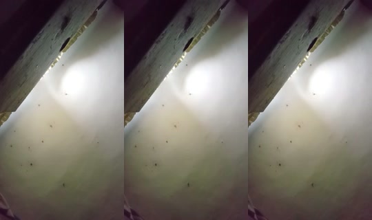 2059293466562770945's Live Session — Jul 19, 2026, 3:21 AM