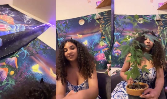 2060461060840174593's Live Session — Jul 28, 2026, 9:32 AM