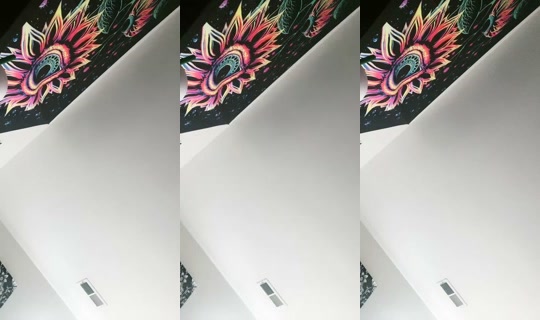 2071718895082935297's Live Session — Jul 12, 2026, 12:12 PM
