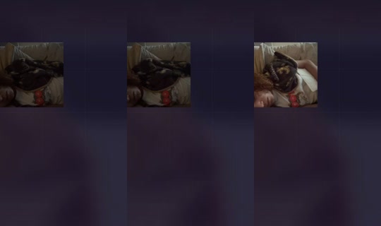 2075333303725783041's Live Session — Aug 31, 2026, 2:07 PM