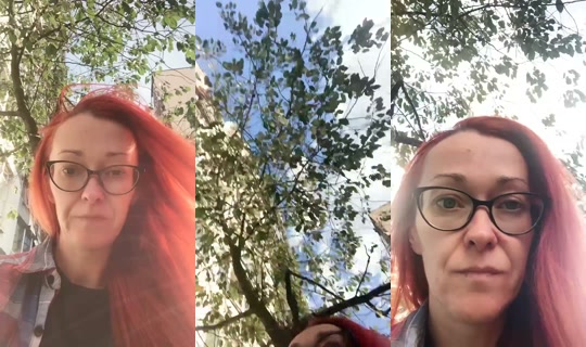 2088673452955885569's Live Session — Aug 19, 2026, 3:15 PM