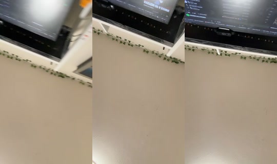 0hn0.buni's Live Session — Aug 16, 2026, 8:48 AM