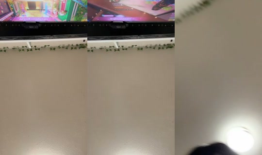 0hn0.buni's Live Session — Aug 18, 2026, 6:27 AM