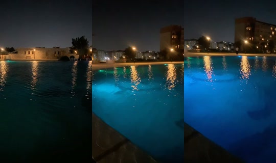 22malekaahmed's Live Session — Aug 31, 2026, 8:19 PM