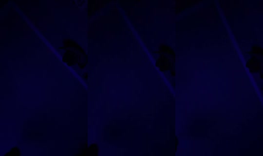 3is_wokee's Live Session — Sep 1, 2026, 11:40 AM