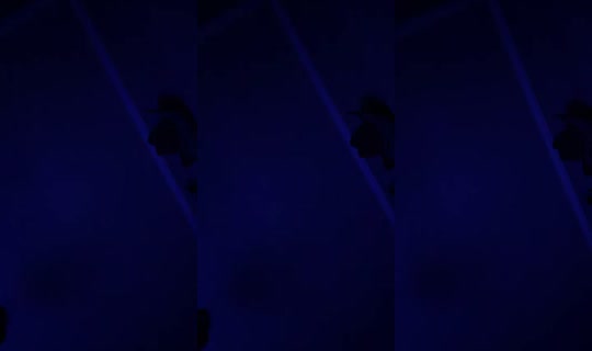 3is_wokee's Live Session — Sep 1, 2026, 12:27 PM