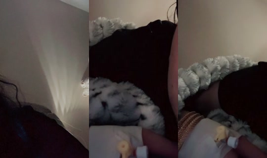 7anen11's Live Session — Sep 19, 2026, 12:02 PM