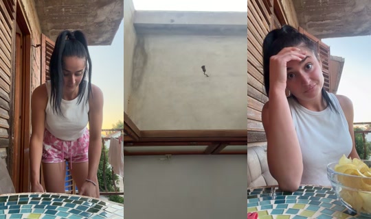 _dobricjovana's Live Session — Jul 24, 2026, 6:09 PM