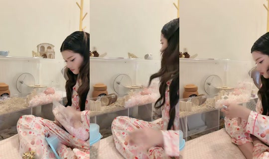 _jaophakbung's Live Session — Aug 20, 2026, 6:42 PM