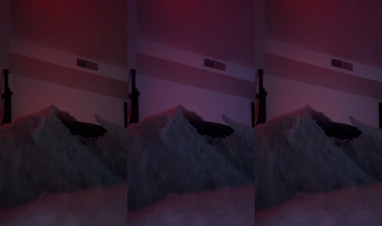 _shaeedatruth's Live Session — Jul 27, 2026, 4:44 AM