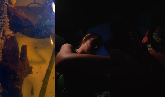 a.crlystorms's Live Session — Jul 27, 2026, 4:09 AM