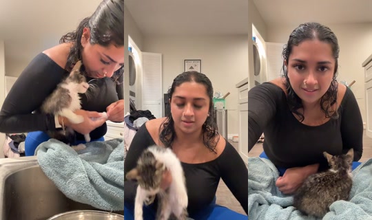 abc_desi's Live Session — Jul 17, 2026, 7:32 AM
