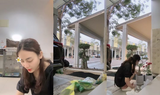 abigail_yee's Live Session — Oct 15, 2026, 10:07 AM