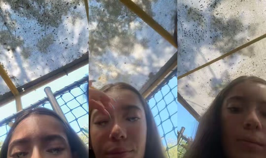 adele__cohen's Live Session — Jul 21, 2026, 11:11 AM