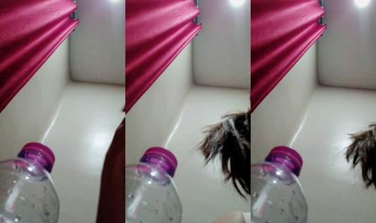 aicha.hadjazi6's Live Session — Jul 26, 2026, 2:24 AM