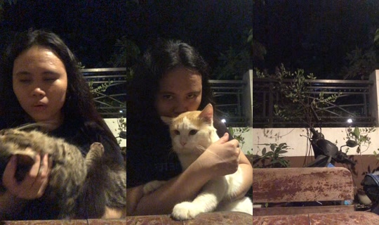 airamaebarrientos08's Live Session — Oct 13, 2026, 12:14 PM