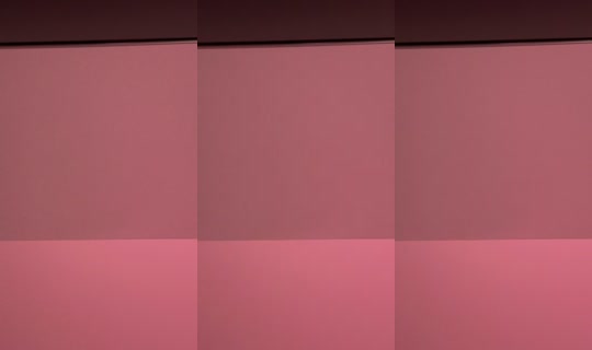 akirafoxxxy_'s Live Session — Jul 9, 2026, 9:21 AM