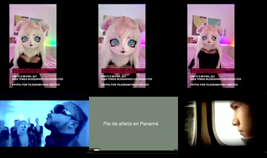 alexandra.furrry's Live Session — Aug 1, 2026, 7:27 PM
