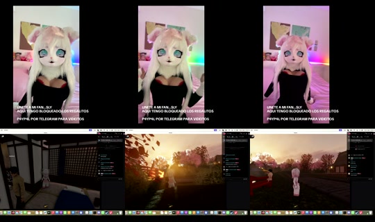 alexandra.furrry's Live Session — Aug 3, 2026, 12:30 AM