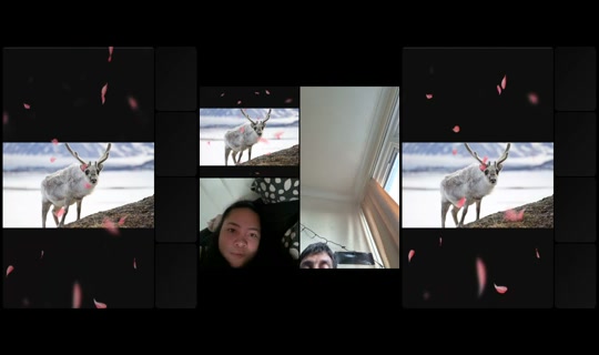 alfa_ice4's Live Session — Oct 13, 2026, 2:51 PM