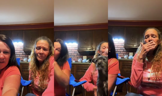 alicebrenamangagne's Live Session — Sep 6, 2026, 11:46 PM