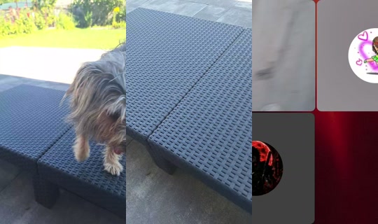 ana.bella9759's Live Session — Aug 20, 2026, 8:26 AM