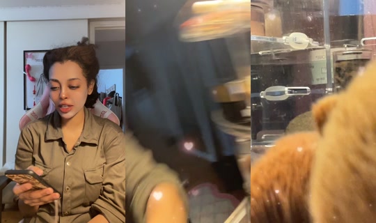 angela_afro444's Live Session — Jul 25, 2026, 9:51 AM