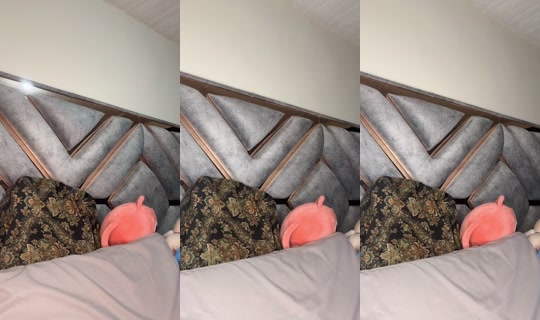 angievanesita's Live Session — Sep 8, 2026, 11:36 PM