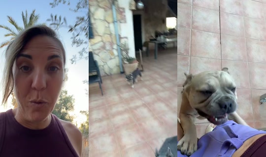angy_animals's Live Session — Sep 3, 2026, 5:43 PM
