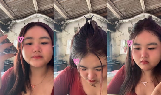 anigemoy444's Live Session — Sep 16, 2026, 4:17 AM
