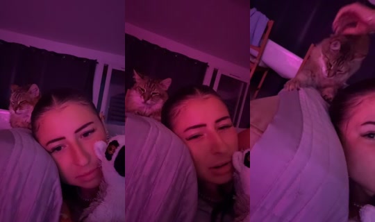 anthea.kzz's Live Session — Jul 31, 2026, 9:55 PM