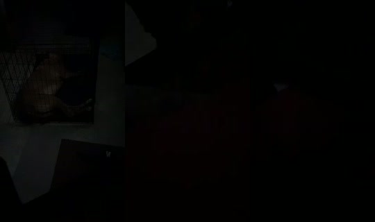 appleuser83983268's Live Session — Jul 25, 2026, 5:23 AM