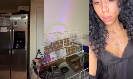 arelynp5's Live Session — Jul 31, 2026, 5:06 AM