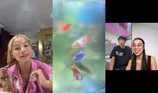 ariana_mendivilg's Live Session — Jul 24, 2026, 11:57 PM