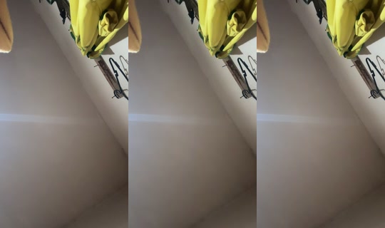 arrianaperalta3's Live Session — Jul 27, 2026, 12:41 AM