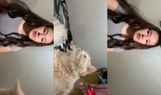 ayisiyu's Live Session — Aug 8, 2026, 1:26 PM
