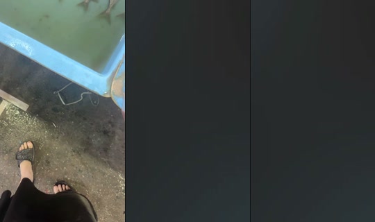 bakaheiken's Live Session — Jul 30, 2026, 2:17 PM