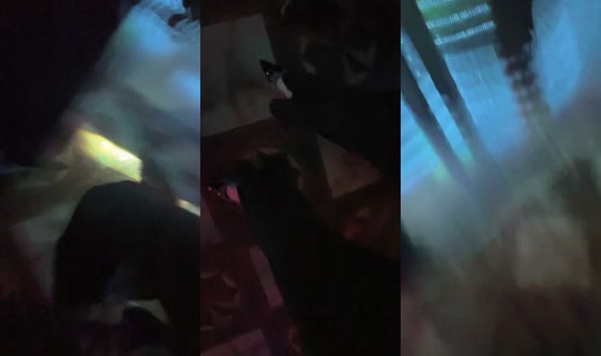 batyrshaeva101010101010's Live Session — Sep 25, 2026, 8:31 PM