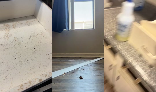 bedazzlinclean's Live Session — Jul 27, 2026, 5:17 PM