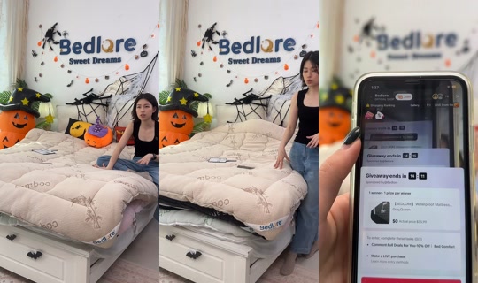 bedlorehome's Live Session — Oct 17, 2026, 5:04 AM
