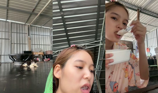 beebeam47's Live Session — Jul 28, 2026, 4:14 AM