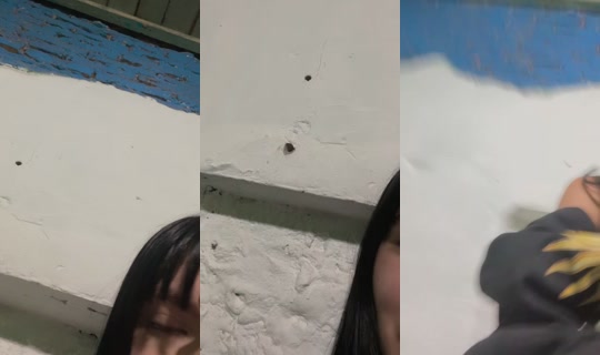 beelen_.17's Live Session — Jul 27, 2026, 6:59 AM