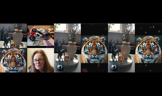 belindavims's Live Session — Sep 12, 2026, 2:52 PM
