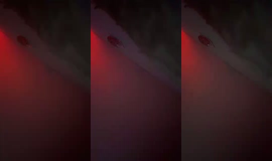 bigbootyshaee's Live Session — Oct 13, 2026, 3:50 AM